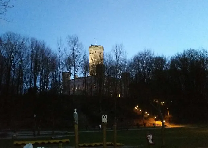 Residenz Duenenstrasse * בינץ